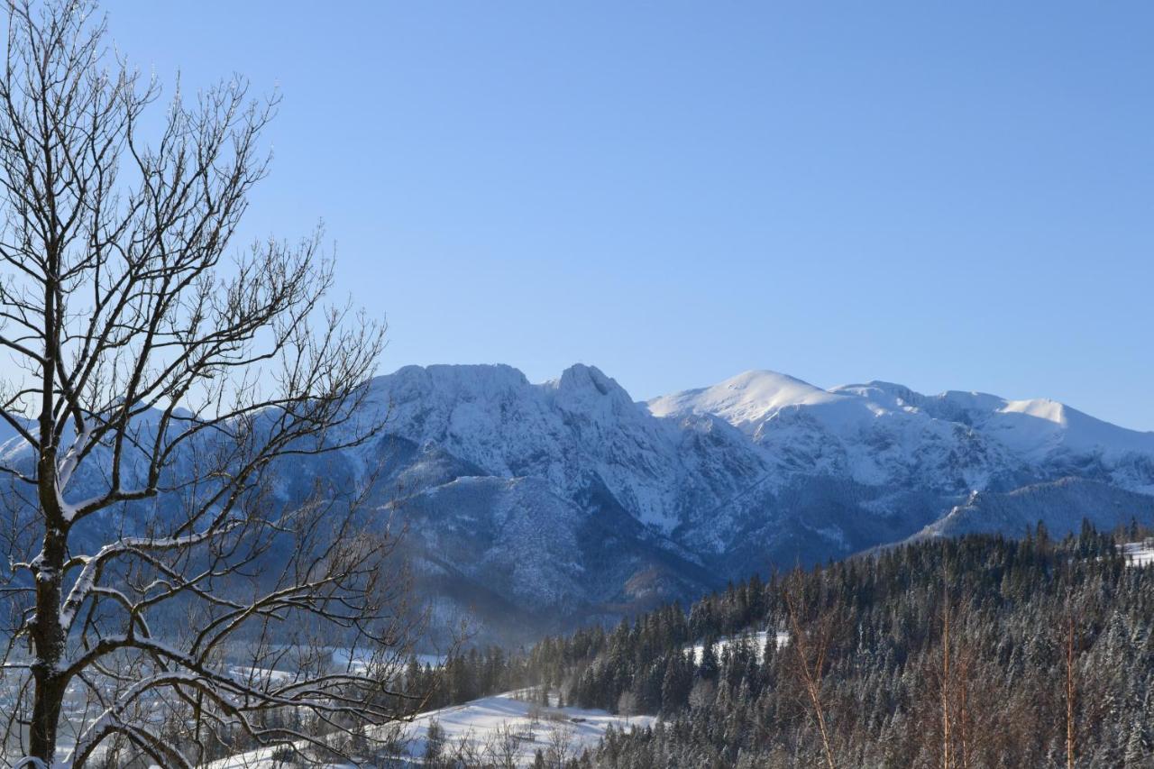 Domki Widokowe Kowalski - Smith'S Wooden Challets Zakopane Bagian luar foto